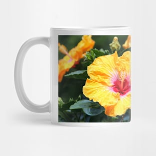 Hibiscus Beauty Mug